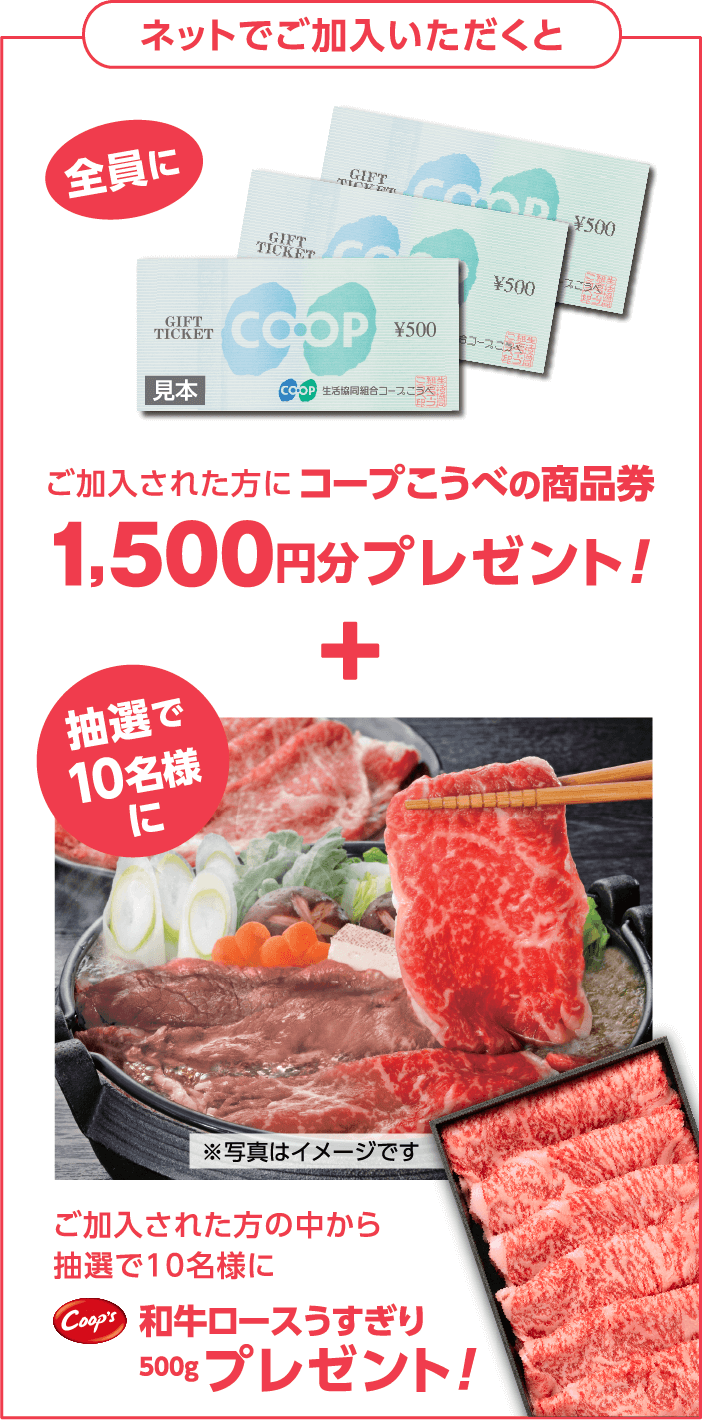 ネットでご加入いただくと、ご加入された方全員に「コープこうべの商品券1,500円分」プレゼント！+ご加入された方の中から抽選で10名様に「コープス 和牛ロースうすぎり 500g」プレゼント！
